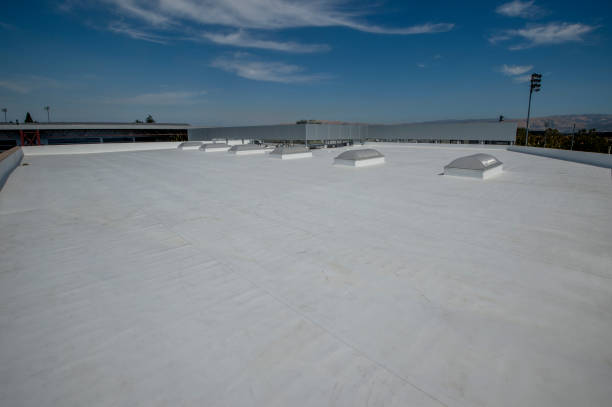 Best Roof Ventilation Installation  in Cortland, IL
