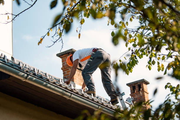 Best Green or Eco-Friendly Roofing Solutions  in Cortland, IL