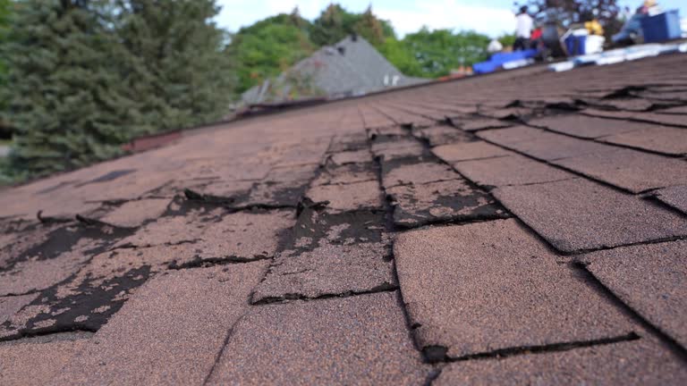 Best Roof Installation  in Cortland, IL